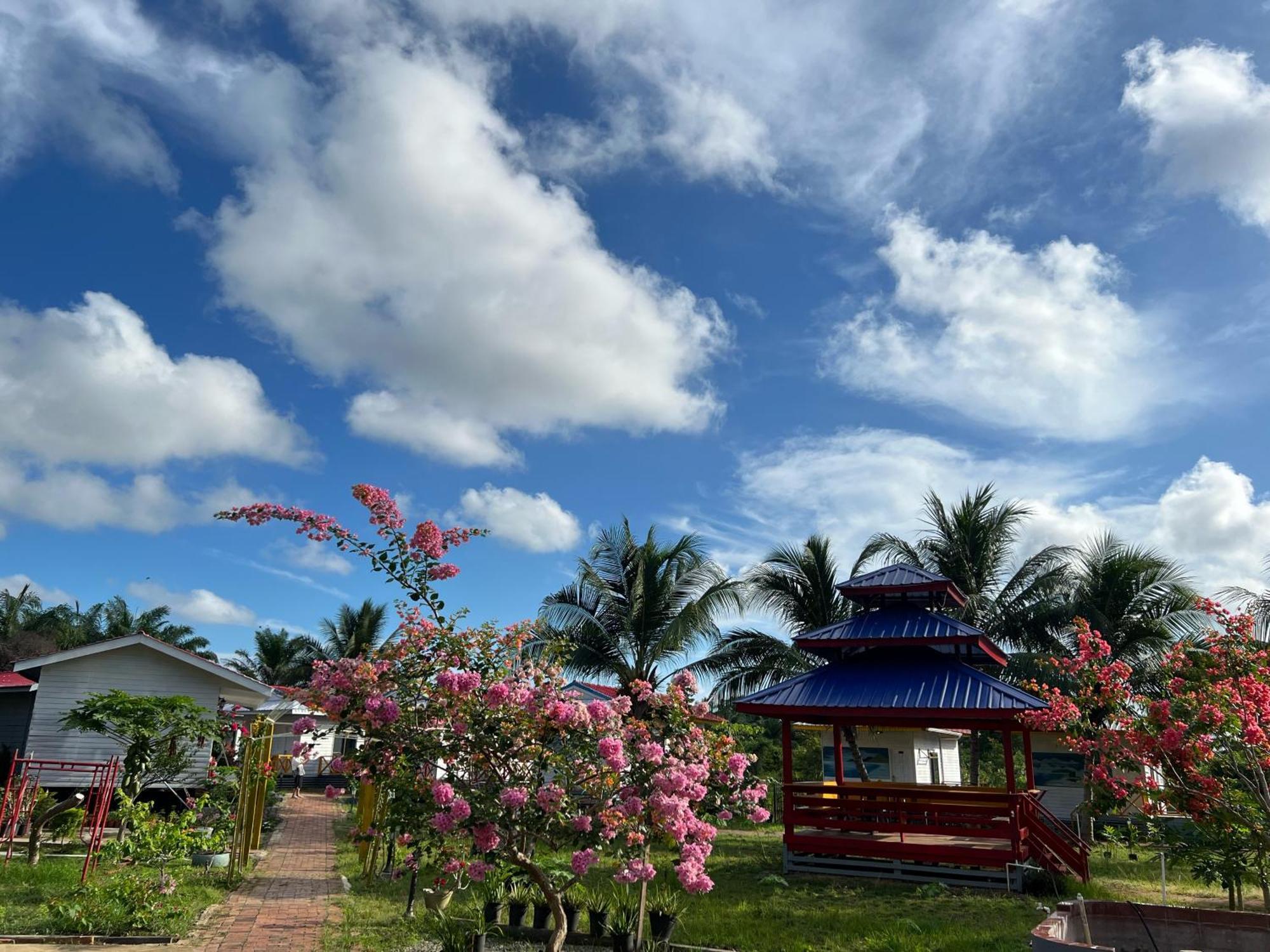Shunde Palm Resort 仙本那顺德人家棕榈园 エクステリア 写真